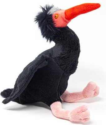 A plush toy of a Waldrapp bird is sitting on a white background.