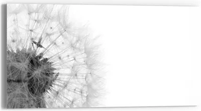 Produktbild von DEQORI Glasbild Echtglas 60x30 cm 'Flüchtige Schönheit' Wandbild Bild modern Deko