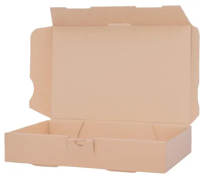 Maxibriefkartons 240x160x45 mm, braun, 50 Stück