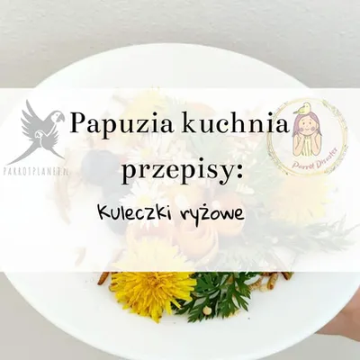 Zdjęcie produktu dla PAPUZIA Kuchnia ParrotPlanet- KULECZKI RYŻOWE - Autorski Przepis Adzioszki z Parrot Disaster