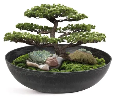 Immagine prodotto di Vaso decorativo per interni ed esterni