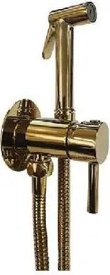 Produktbild von Paffoni Bidet Kit - Set Unterputzarmatur mit Bidetbrause, Gold ZDUP110HG