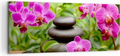 Produktbild von Bild auf Leinwand - Leinwandbild - Blumen Steine Bambus Dekoration - 120x50cm - Wand Bild - Wanddeko - Leinwanddruck - Bilder - Kunstdruck - Leinwand bilder - Wandkunst - AB120x50-2687