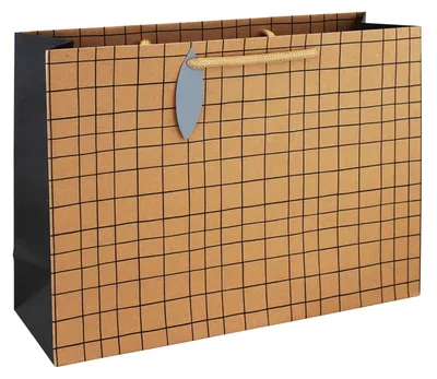 Immagine prodotto di Clairefontaine28794-6C Clairefontaine Geschenktüte "Minimalist", groß