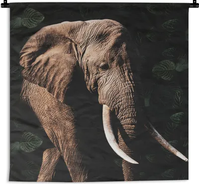 Produktbild von MuchoWow® Wandteppich Wandbehang Elefant - Tiere - Zähne 150x150 cm Tapisserie Dekoration Wandtuch - Wohnaccessoires - Modernes