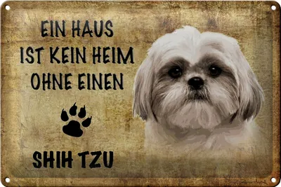 Produktbild von Blechschild Shih Tzu 30x20cm Haus ist kein Heim ohne