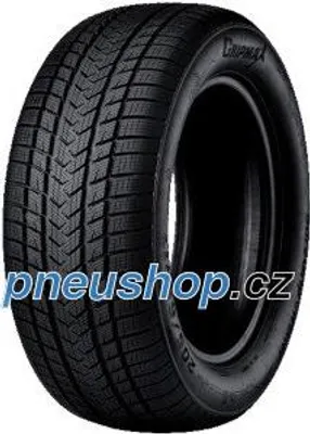 Obrázek produktu pro Gripmax Wi car-tyres Suregrip eWinter ( 18 )