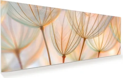 Produktbild von Glasbild 150x60cm in XXL für Wohnzimmer, Schlafzimmer Motiv Pusteblumen Kunst