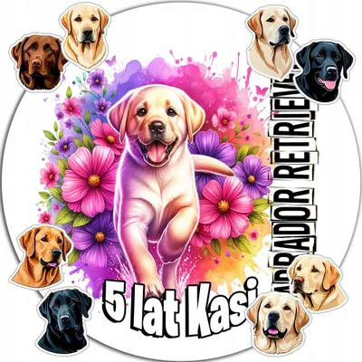 Image de Décoration de gâteau 20 cm – Labrador Retriever (anniversaire) + prénom 15 cm, 18 cm