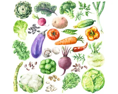 Produktbild von Glasbild Different Vegetables 30x30 cm