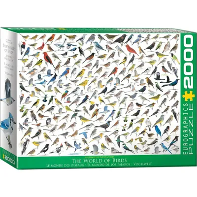 Image de EUROGRAPHICS Puzzle Le monde des oiseaux 2000 pièces
