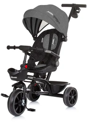 Obrázok produktu pre Trojkolka so strechou Chipolino - Max Sport, sivá