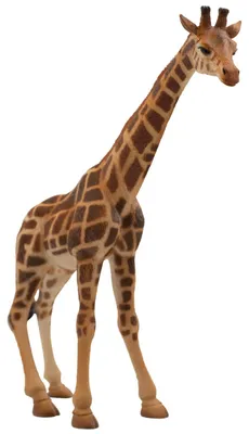 Image de Girafe mâle - Figurine pour enfants