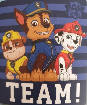 Zdjęcie produktu dla Koc polarowy Paw Patrol - kratka - 120 x 140 cm