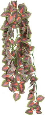 Zdjęcie produktu dla Trixie Wisząca Jedwabna Roślina Folium Perillae Brązowy ø 20 × 50 cm Brązowy ø 20 × 50 cm