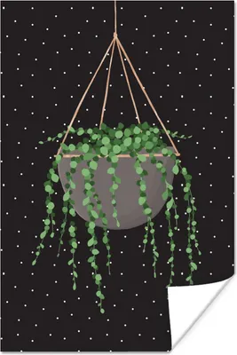 Produktbild von MuchoWow® Poster Pflanzen - Hängepflanze - Blumentopf 80x120 cm - Papierdruck