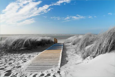 Produktbild von Wallario selbstklebendes Poster - Auf dem Holzweg zum Strand in schwarz-weiß Optik, Größe: 61 x 91,50 cm