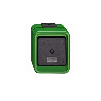 Immagine prodotto di Merten 370677 Commutatore a bilanciere da superficie IP55 verde agricolo