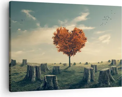 Produktbild von Bild auf Leinwand - Leinwandbild - Baum Natur Wiese - 70x50cm - Wand Bild - Wanddeko - Wandbilder - Leinwanddruck - Bilder - Kunstdruck - Wanddekoration - Leinwand bilder - Wandkunst - AA70x50-3751