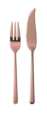 Imagen del producto de Linear Sambonet Fischbesteck 24tlg. Edelstahl/PVD Kupfer 52713C88