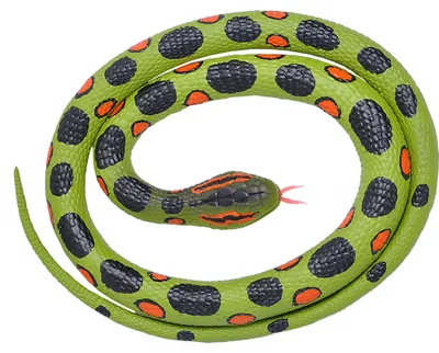 Obrázok produktu pre Gumový had anakonda – 117 cm