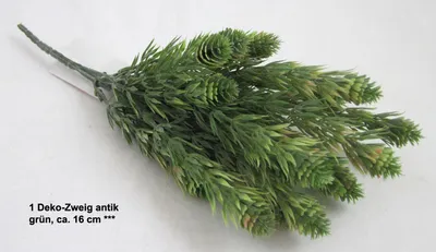 Produktbild von 1 Deko-Zweig antik, künstlich, grün, ca. 16 cm