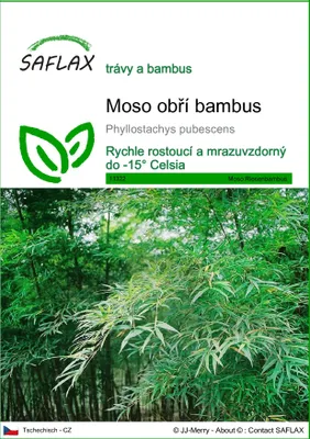 Obrázek produktu pro SAFLAX - Moso obří bambus - Phyllostachys pubescens - 20 Semena