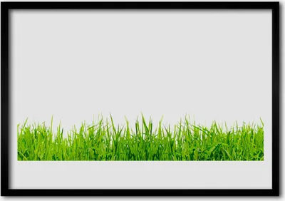 Produktbild von Bild 70x50 MDF-Rahmen Wandkunst Gras Natur Pflanze