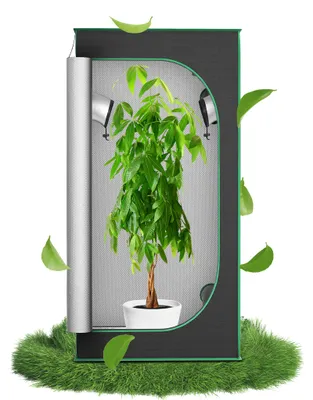 Produktbild von XINZI Growzelt 80 x 80 x 160 cm Gewächshaus, Indoor Growroom Growschrank Darkroom mit Beobachtungsfenster, Pflanzenzelt Gewächshaus Zuchtzelt