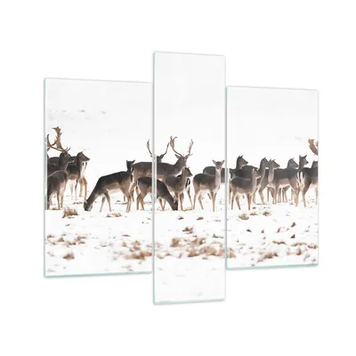 Produktbild von Bilder auf glas - Hirsch Winter Tierwelt Landschaft - 95x80cm - Glasbilder - Wandbilder - Kunstdruck - zum Aufhängen bereit - Wanddekoration aus Glas - Glas Bilder - Wandbild auf Glas - GCB95x80-3144