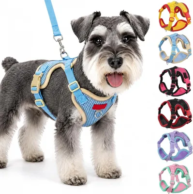 Produktbild von Hundegeschirr mit Leine Set, verstellbar, atmungsaktiv Mesh, für tägliche Spaziergänge