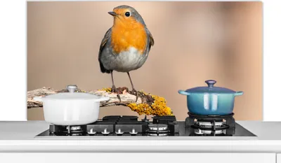 Produktbild von KitchenYeah®  Spritzschutz Küche - Küchenrückwand - Wandschutz für Herd und Spüle - Rotkehlchen - Vogel - Zweig - Tiere 120x60 - Alu-Dibond (Alternative zum Spritzschutz aus Glas) - Hitzebeständig - H