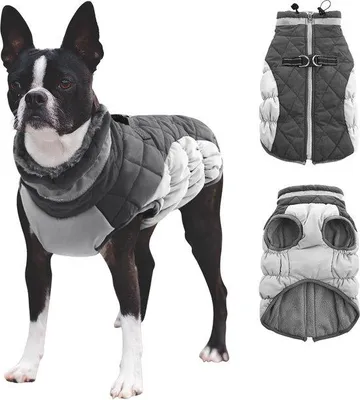 Produktbild von Famanu Hundejacke Wasserabweisend mit Fleece - Warm und komfortabel, mit integriertem Halter und reflektierend