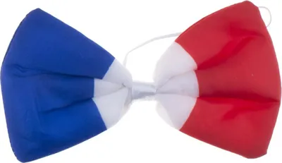 Produktbild von Frankreich WM Fliege