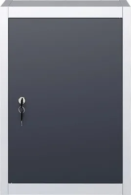 Image de Armoire à outils murale, métal, gris et noir Lumarko !