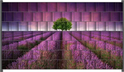 Produktbild von Wallario Zaunsichtschutz mit Motiv Lila Blumenfeld für Ein- und Doppelstabmatten Zäune in der Größe 250 x 140 cm