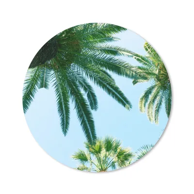 Produktbild von MuchoWow® Mauspad Mousepad Palmwedel - Himmel - Sommer - Tropisch 20x20 cm - Mousepads - Maus Mat - Pad - Mausunterlage - Schreibtischmatte