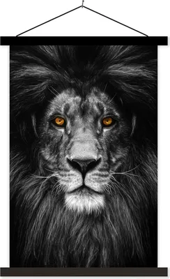 Produktbild von MuchoWow® Textilposter Wildtiere - Porträt - Farbe 40x60 cm mit schwarzem Rahmen - Wanddekorationen