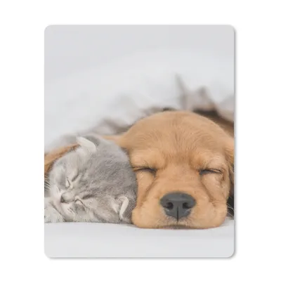 Produktbild von MuchoWow® Mauspad Mousepad Haustiere - Hund - Katze - Decke 30x40 cm - Mousepads - Maus Mat - Pad - Mausunterlage - Mausmatten
