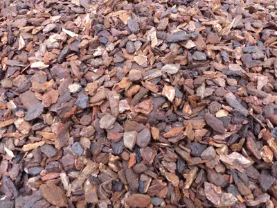 Produktbild von 70 Liter Premium Pinienrinde Bodengrund 2-8-mm