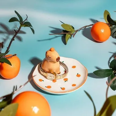 Produktbild von Capybara Schmuckschale