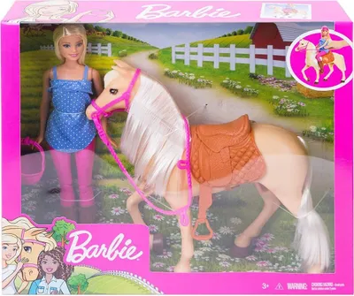 Produktbild von Mattel FXH13 - Barbie - Spielset, Puppe und Pferd