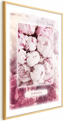 Produktbild von Posterpapier Poster - Spring Delicacy 60x90 cm Blumen b-C-0578-ao-a