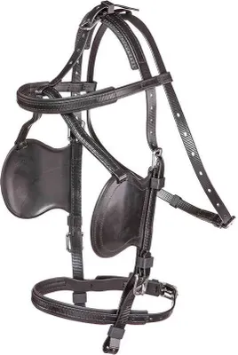 A black leather horse bridle is displayed against a white background.