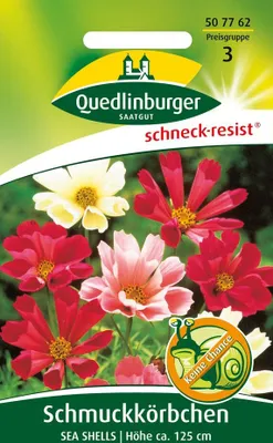 Produktbild von Schmuckkörbchen, Sea Shells