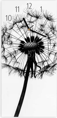 Produktbild von Wanduhr aus Glas mit Motiv Pusteblume- 30 x 60 cm - inkl. Aufhängesystem