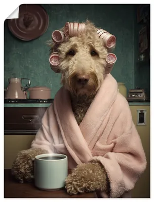 Produktbild von ARTland Poster Morning Mood Größe: 30x40 cm