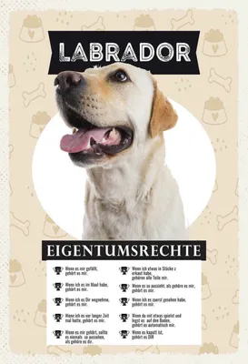 Produktbild von vianmo Holzschild 30x20 cm Labrador Eigentumsrechte