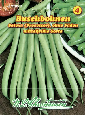 Produktbild von Buschbohne Sotexa | Buschbohnensamen von N.L. Chrestensen