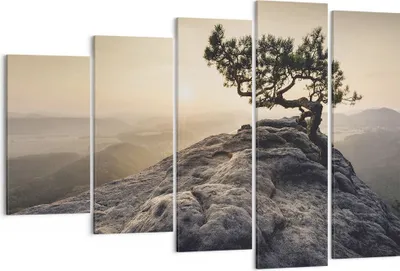 Produktbild von Bild auf Leinwand - Leinwandbild - 5 Teile - Alt Kiefer Berge - 150x100cm - Wand Bild - Wanddeko - Wandbilder - Leinwanddruck - Bilder - Wanddekoration - Leinwand bilder - Wandbild - EG150x100-4334